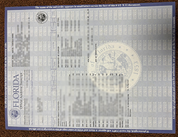 UF transcript, Buy a University of Florida transcript