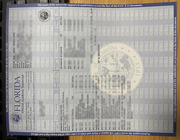 University Of Florida Transcript