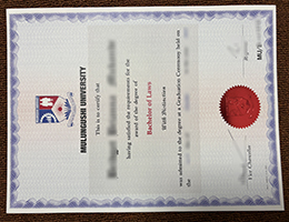 Mulungushi University diploma sample