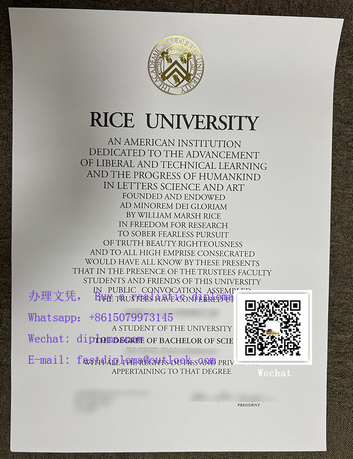 Rice University degree