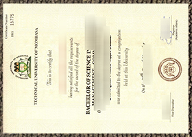 Technical University of Mombasa diploma sample
