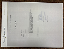 Tilburg University Diploma
