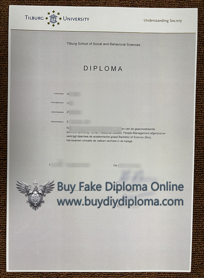 Tilburg University Diploma