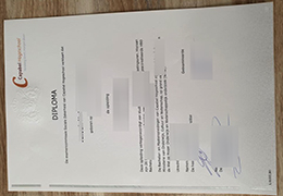 Capabel Hogeschool diploma certificateCapabel Hogeschool diploma certificate
