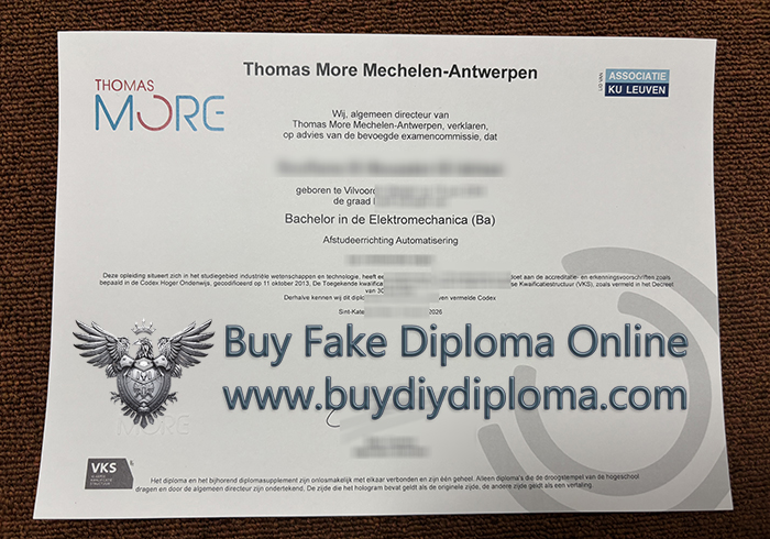Thomas More diploma
