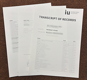 IU Internationale Hochschule transcript of records sampleIU Internationale Hochschule transcript of records sample