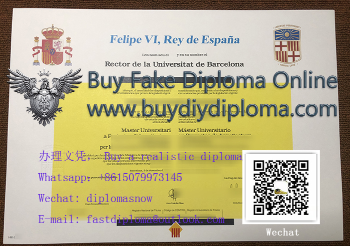 Universitat de Barcelona Master's diploma Universitat de Barcelona Master's diploma