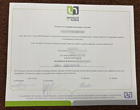 Université de Namur diploma sample