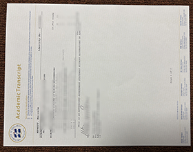 University of Ballarat transcript