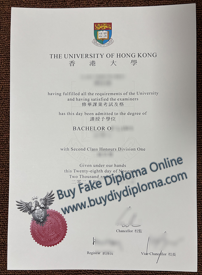 University of Hong Kong degree
