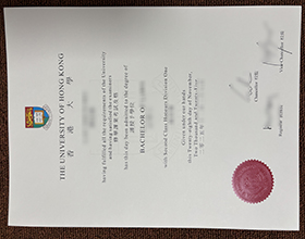 University of Hong Kong degree