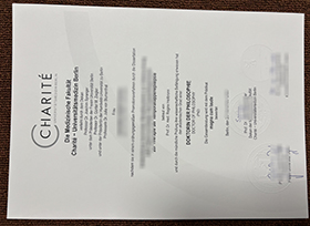 Charité – Berlin University Medicine diploma